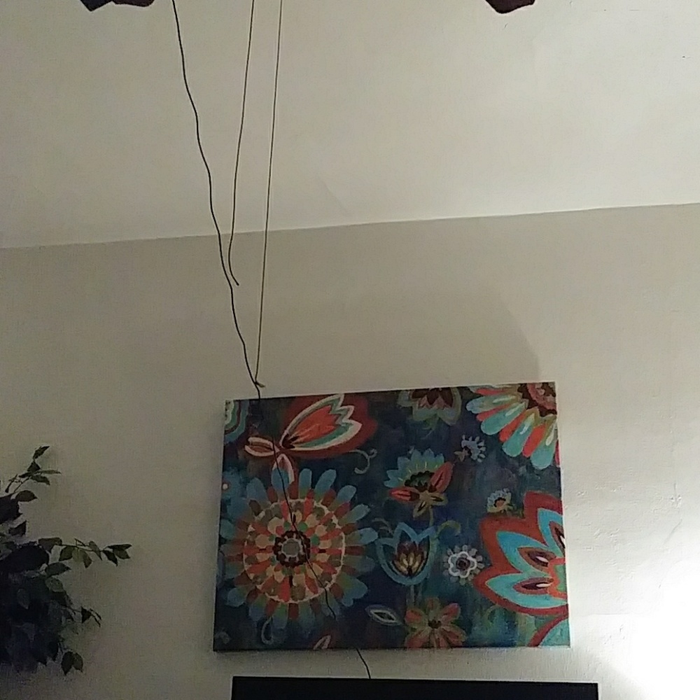 Large picture